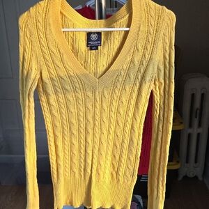 American Eagle Outfitters Sunny Yellow V-Neck Sweater